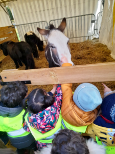 Lire la suite à propos de l’article En sortie à la ferme